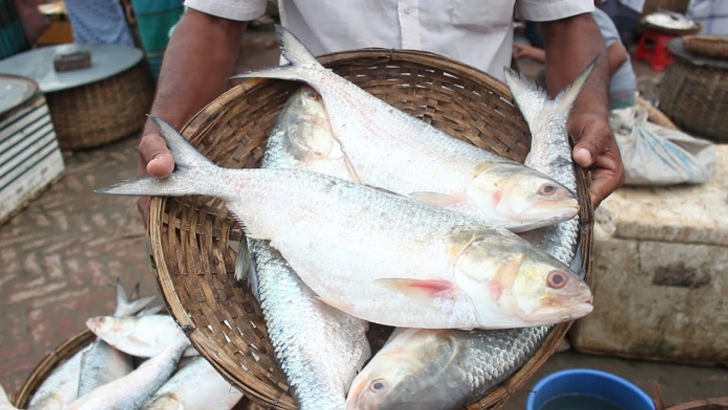 বাজারে বৈশাখী ইলিশ, ক্রেতারা সব ঘরে